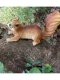 Садовая фигурка Duo Squirrels